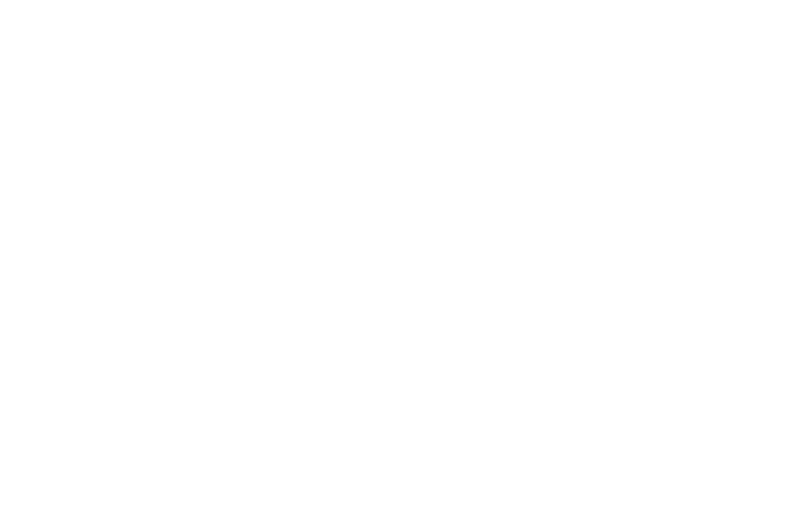 adidas Logo